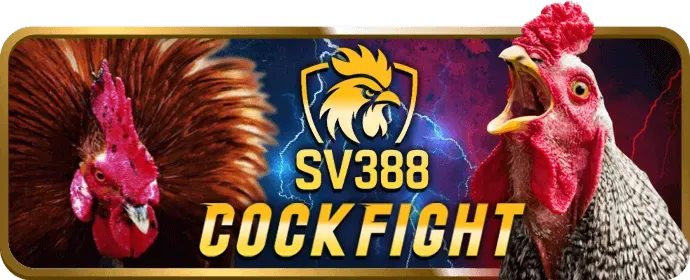 Hotline best88 nổ hũ